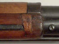 patchnose3.JPG (18065 bytes)